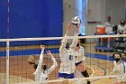 Volleyball vs RWU  Wheaton Women’s Volleyball vs Roger Williams University. : Volleyball, VB